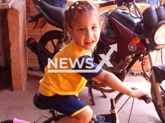 Maria Fernanda Britto da Silva, 3, poses in undated photo. She died after being stung by a scorpion in Ribas do Rio Pardo (MS), Brazil. Note: Private photo. (Newsflash)