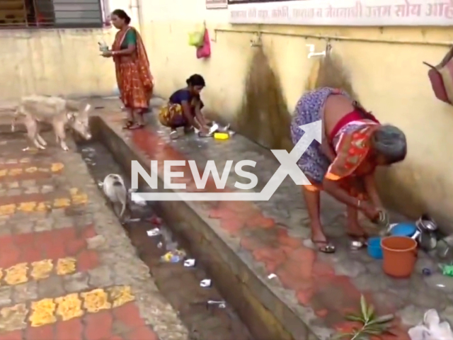 Photo shows pigs around people at the Nanded hospital in central Maharashtra, India, undated. Thirty-one patients had reportedly died in the hospital in a span of 48 hours. Note: Picture is a screenshot from a video (Newsflash)