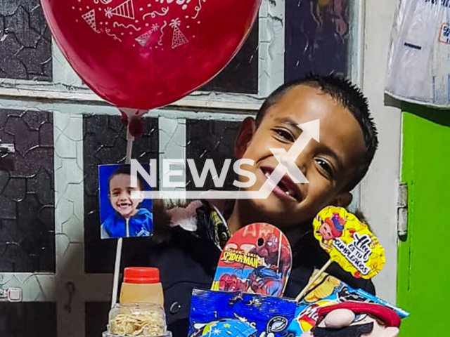 Photo shows Angel Mahecha, 7, undated. He was allegedly crushed to death by a tree in a cemetery in Bogota, Colombia. Note: Picture is private (Newsflash)