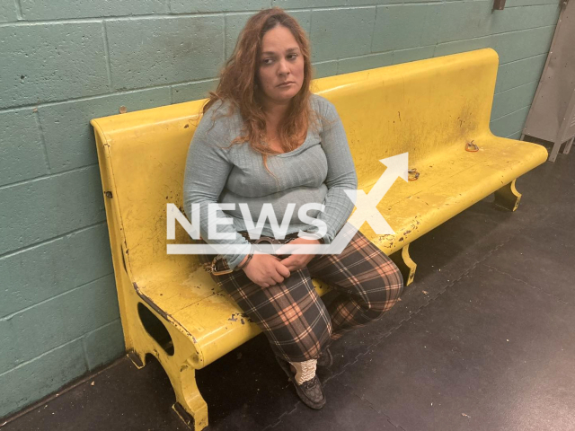 Picture shows Trista Fullerton, undated. She was arrested for abducting her children in Arkansas, US. Note: Police photo. (@AndersonPoliceDept/Newsflash)