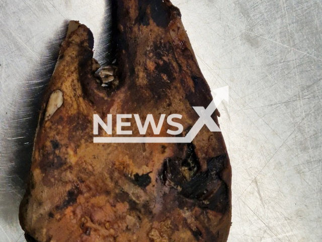 Image shows the rotten meat, undated photo. It was found by customs officers at the Hanover Airport, in Germany. on Oct. 23, 2023. Note: Licensed content. (Hanover Main Customs Office/Newsflash)