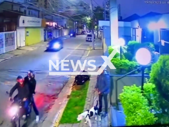 A dog saves his owner from an alleged robbery by attacking a suspect, in Santo Andre, Greater Sao Paulo, Brazil, Thursday, Oct. 19, 2023. The suspect got on the motorcycle and fled the scene with his accomplice.Note: Picture is screenshot from a video. (Newsflash)