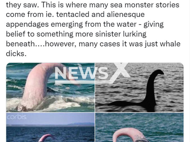 Michael Sweet, a molecular ecologist at the University of Derby, UK,  posted a new theory on 8th April,  on Twitter, stating that Loch Ness Monster sightings, may have been sightings of whale erections.
Note: Photo is a screenshot from post. (Newsflash)