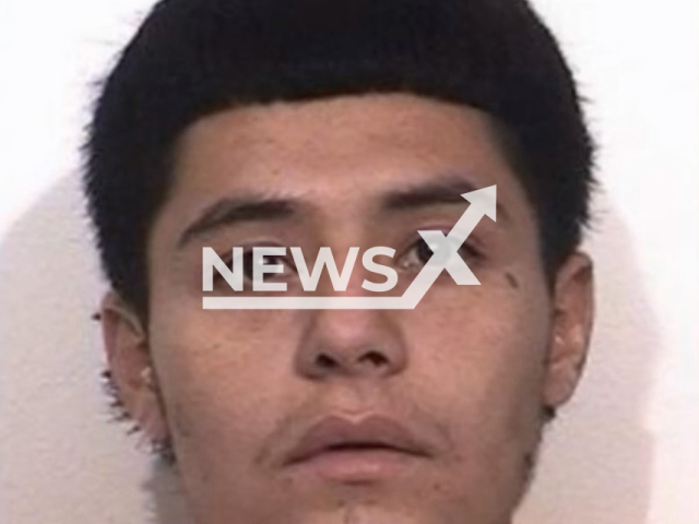 Photo shows Luis Gustavo Aroyo-Lopez, undated. He was was taken into custody in San Francisco on Friday, November 03, 2023, after he killed and decapitated a female relative.
Note: Police photo(Santa Rosa Police Department/Newsflash).