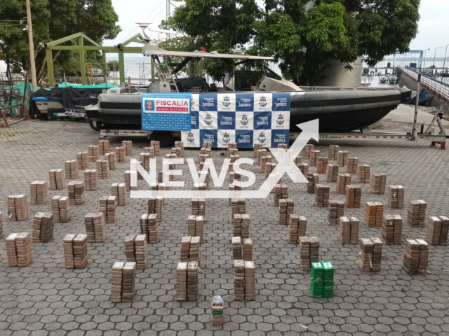 Picture shows the drugs, undated. Police sized a submarine transporting 1,885 kilograms of cocaine hydrochloride, in the Colombian South Pacific. Note: Navy photo. (@mindefensa/Newsflash)