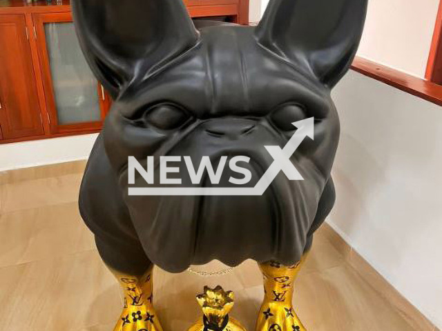 Picture shows the statue of a dog with gold plating belonging to one of the people arrested, undated. The Operation Pacific Black was carried out to capture for extradition purposes five people  charged with  crimes of Drug Trafficking and conspiracy to commit a crime.

Note: Police photo. (Policia Nacional/Newsflash)