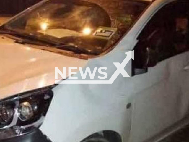 Picture shows the Perodua Axia after it was trammeled by elephants, undated. The family's car collided with a young elephant calf  on the highway as it was drizzling and foggy, and the driver did not see the calf on a bend in the road, near Gerik, Malaysia. Note: Private photo. (Newsflash)