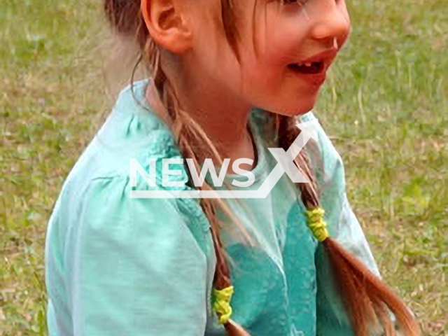 Image shows Inga Gehricke, at 5-years-old, now 13, before she disappeared in May, 2015. Police uncovered investigation errors, including evidence of a convicted pedophile that were allegedly not followed thoroughly enough and files lost. Note: Police photo. (Polizeidirektion Sachsen-Anhalt Nord/Newsflash)