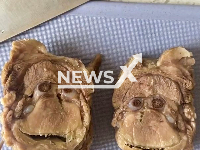 Woman cut meat and discovered two orangutan faces in Changchun, China. Note: This picture is a screenshot from the video (973070183/AsiaWire).