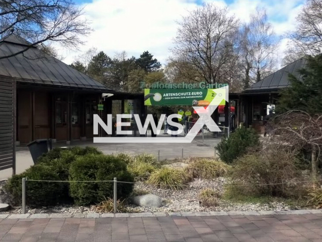 Photo shows Augsburg Zoo, undated. Two male cloaked baboons were given to a research. Note: Photo is a screenshot from a video(Newsflash).