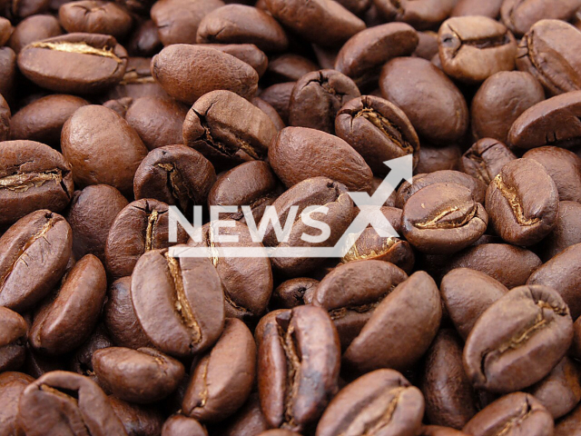 Illustrative image shows roasted coffee beans, undated. Note: Licenced photo. (Newsflash)