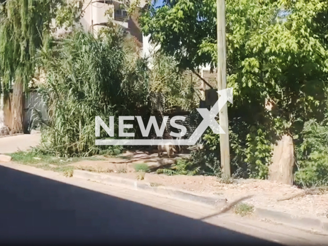 Photo shows the outside of a house in Guaymallen, Argentina, undated. Remains of Carlos Tonini were found inside his house where he was allegedly eaten by dogs. Note: Picture is a screenshot from a video (Newsflash)