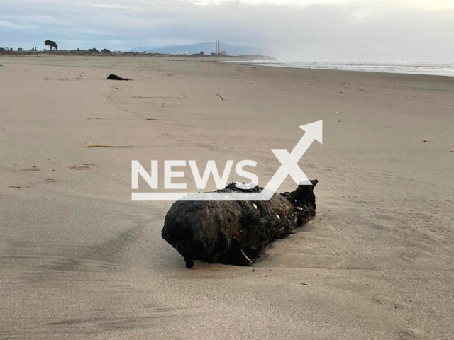 Picture shows the unexploded bomb, undated. It washed up on Pajaro Dunes beach in California. Note: Police photo. (@SantaCruzSheriffsOffice/Newsflash)