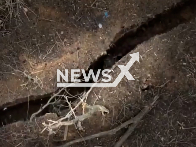 Ukrainian drones drop bombs on the Russian soldiers in the trenches in Ukraine in undated footage. The footage was released by the Operational Command "West" on Thursday, Jan. 4, 2024.
Note: Picture is screenshot from a video. (@operationalcommandwest/Newsflash)