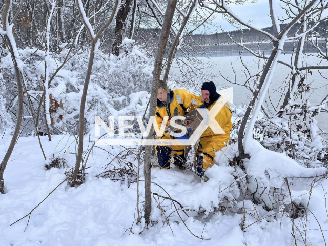 Photo shows the rescue of the Deer in New Hampshire on Tuesday, January 09, 2024. The animal was stranded on ice mid large pond. Note: Licensed photo(Pelham Police Department/Newsflash).