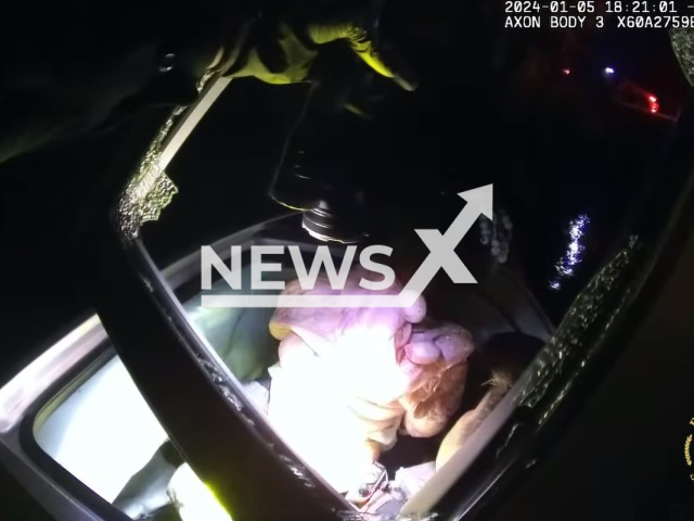 Photo shows Police in Flagler County, Florida, rescuing a grandmother and child, undated. Their car became partially submerged in a watery ditch on Friday, January 05, 2024. Note: Photo is a screenshot from a video(@flaglersheriff/Newsflash).