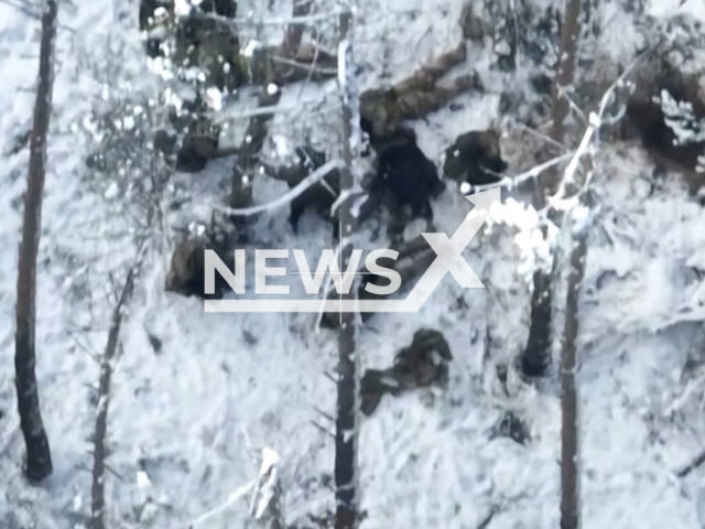 Intense combat as the West Group's assault unit seizes enemy positions and captures Ukrainian servicemen, unveiling the challenges faced on the Kupyansk front during the special military operation. Note: Picture is a screenshot from the video. (MOD Russia/Clipzilla)