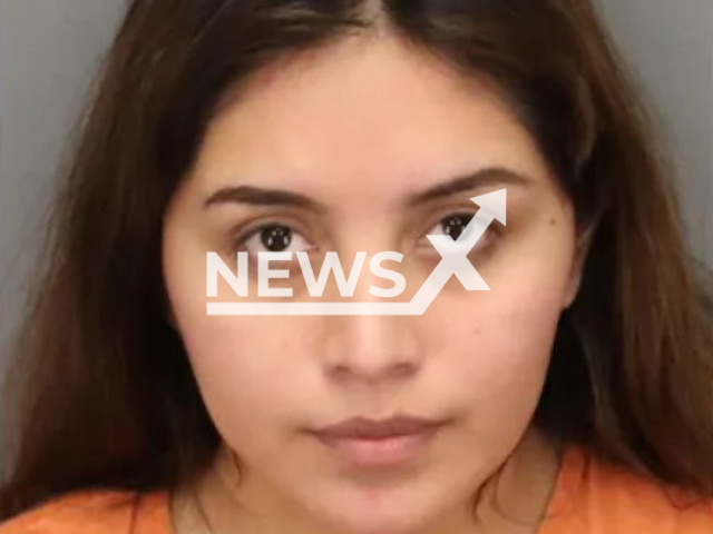 Photo shows Danya Trejo, undated. The Florida woman was charged with a DUI after she crashed car into dentist’s office.
Note: Licensed photo(Pinellas County Sheriff's Office/Newsflash).