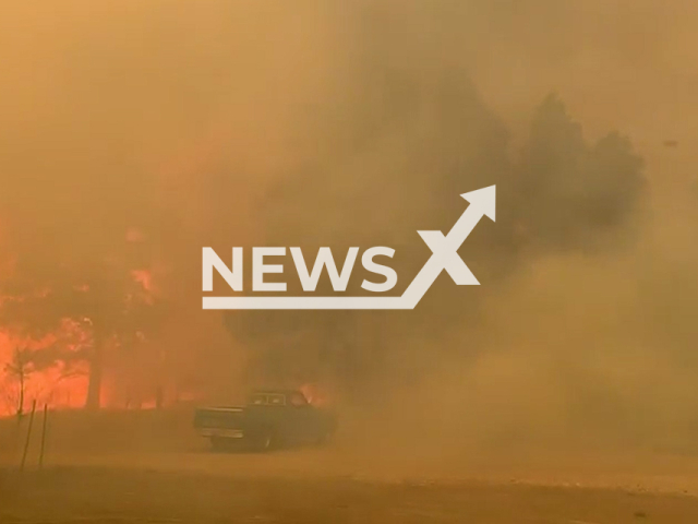 Fast-moving fire spreads near Flagstaff, Arizona. Note: This picture is a screenshot from the video (Arizona Department of Forestry and Fire Management/Newsflash).