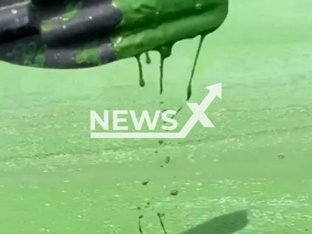 Tiete River becomes green when it is taken over by algae in Novo Horizonte, Sao Paulo, Brazil, undated. According to the Environmental Company of the State of Sao Paulo (Cetesb), aquatic plants, which reproduce quickly, are known for “invading” the river.Note: Picture is screenshot from a video. (Policia Ambiental/Newsflash)