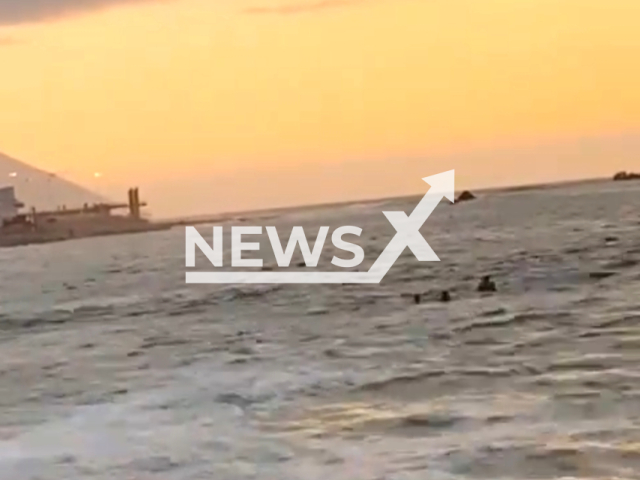 Rescuers help a person with the beginning of asphyxiation on the beach in Antofagasta, Chile. Note: Picture is a screenshot from the video. (@Armada_Chile/Clipzilla)