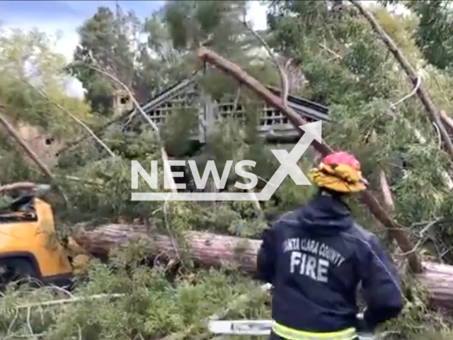 Firefighters cut down fallen trees in Saratoga, California, USA, in January 2024. Note: Picture is a screenshot from the video. (@sccfiredept/Clipzilla)