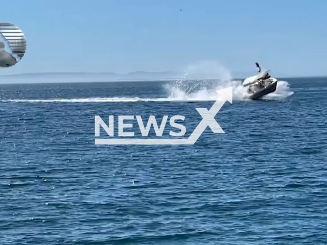 A Whale shark collided with a boat leaving three minors and two adults with injuries, on 22 April, in Baja, Mexico. Note: Picture is a screenshot from a video (SSPCBCS/Newsflash)