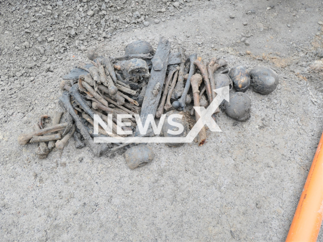 Photo shows 15 skulls and large number of bones, undated. They were discovered at a construction site in Lippetal, Soest in Germany while the construction workers were demolishing a house.
Note: Licensed photo(Soest District Police/Newsflash).