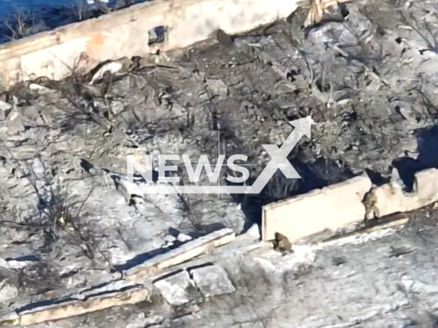 Assault groups of Tula paratroopers capture a Ukrainian strong point in the area of ​​the settlement Vesele in the Donetsk direction. Note: Picture is a screenshot from the video. (Ministry of Defense of the Russian Federation/Clipzilla)