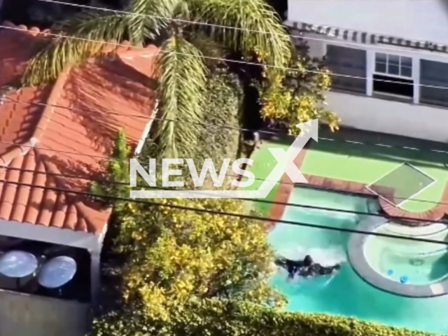 David Verdun, 36, falls in to the pool of the home he was robbing, in Beverly Hills, California, USA, in January, 2024. Note: Picture is a screenshot from the video. (@bhpd_90210/Clipzilla)