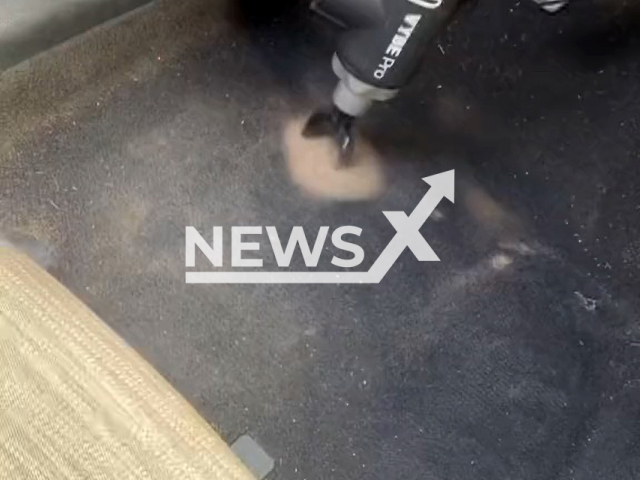 Lanie Green from Houston, Texas, showing how to find the dirt hidden in your car. Note: Picture is a screenshot from a video (@queenfirecrotch, @wtvvtv/Newsflash)