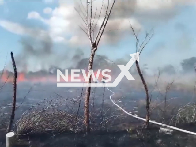 Firefighters put out wildfire in Santa Maria District, Panama. Note: Picture is a screenshot from the video. (National Police of Panama/Clipzilla)