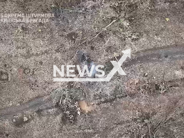 Ukrainian drones drop bombs on the Russian soldiers on the frontlines in Ukraine in undated footage. The footage released by the 5th Separate Assault Brigade of the Kyiv Land Forces of the Armed Forces of Ukraine on Thursday, Feb. 22, 2024. Note: Picture is screenshoot from a video (@fifthbrUA/Newsflash)