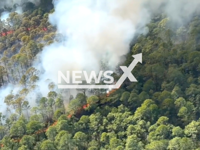 A brush fire in St. Johns County, Florida, USA. Note: Picture is a screenshot from the video. (St. Johns County Sheriff's Office/Clipzilla)