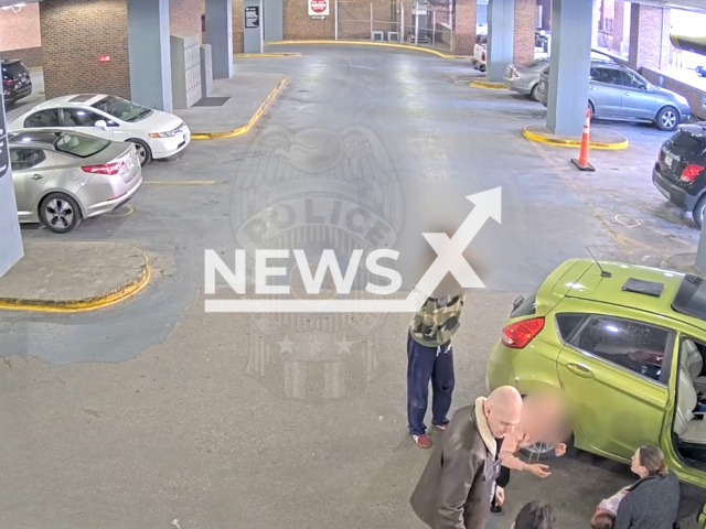 Detective Lauren Montgomery (gray jacket) administers back blows to a baby that was choking and not breathing, in Kansas City, Missouri, USA. NOte: Picture is a screenshot from the video. (Kansas City Missouri Police Department/Clipzilla)