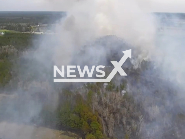 A large wildland fire in  Green Sea, South Carolina, USA. Note: Picture is a screenshot from the video. (Horry County Fire Rescue/Clipzilla)