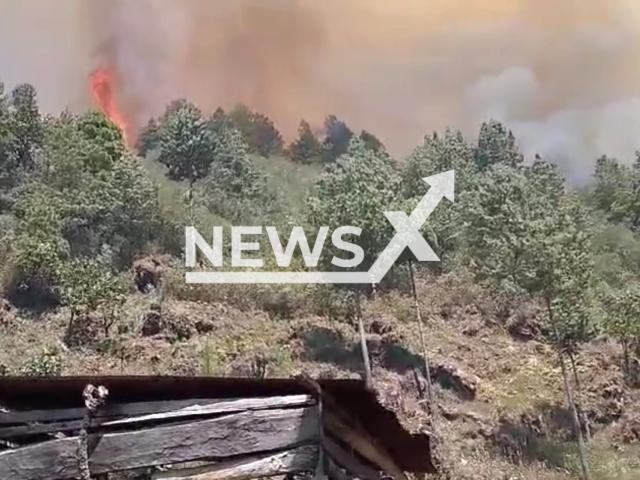 Forest fire in Vicalama, Guatemala. Note: PIcture is a screenshot from the video. (Conred/Clipzilla)