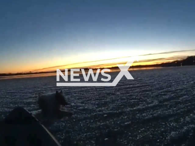 Police recue a dog which had fallen into icy waters on South Lindstrom Lake, in Chisago County, Minnesota, USA, on Tuesday, March 5, 2024. Note: Picture is a screenshot from the video.(Chisago County Sheriff's Office/Clipzilla)