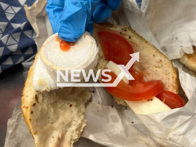 Picture shows the gold bracelet in a baguette, undated. Customs busted a gold smuggler at Munich airport. Note: Customs photo. (Munich Customs/Newsflash)