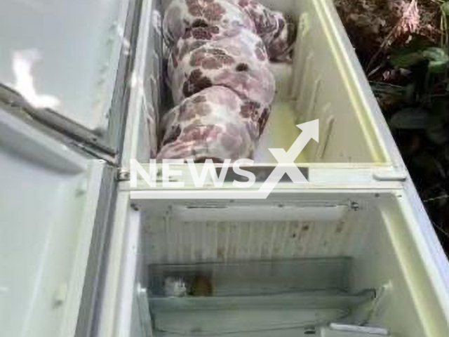 Picture shows the body of the woman found dead in a refrigerator in Maceio, Brazil, undated.  A 22-year-old man suspected of killing his girlfriend's mother and hiding the victim's body in a refrigerator in Maceio, Brazil. Note: Police photo. (Policia Civil/Newsflash)