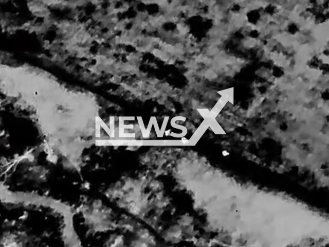 Ukrainian drones hunt down and drop bombs on Russian soldiers on the frontlines in Ukraine in undated footage. The footage was released by the 56th Separate Motorized Infantry Mariupol brigade of the Armed Forces of Ukraine. on Thursday, Mar. 7, 2024. Note: Picture is screenshot from a video (@brigade56_official/Newsflash)