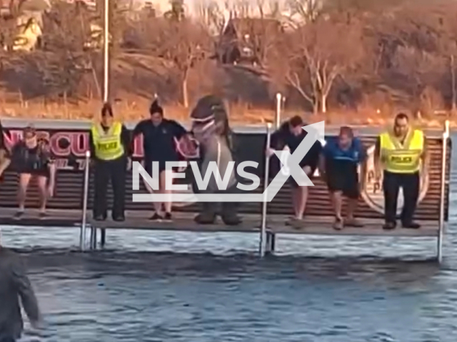 Police Department takes a cold plunge to support Special Olympics Minnesota, in St. Louis Park, Minnesota, USA. Note: Picture is a screenshot from the video. (St. Louis Park, Minnesota Police Department/Clipzilla)