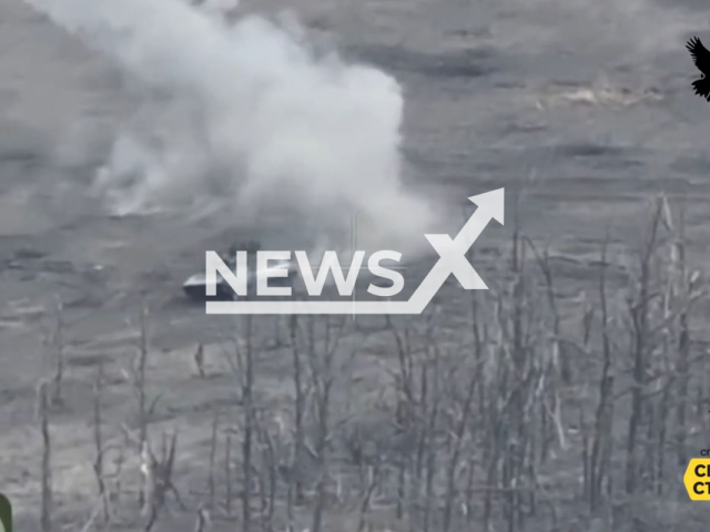 A Ukrainian kamikaze drone destroys a Russian BMP on the frontlines near Lyman in Ukraine in undated footage. The footage was released by the 60th Separate Mechanized Ingulets Brigade of the Armed Forces of Ukraine on Saturday, Mar. 9, 2024. Note: Picture is screenshot from a video (@60ombr/Newsflash)