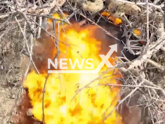 Ukrainian drones drop bombs on Russian dugouts and foxholes blowing them up in Ukraine in undated footage. The footage was released by the 63rd Mechanized Brigade on Monday, March 11, 2024. Note: Picture is screenshot from a video. (@ombr_63/Newsflash)