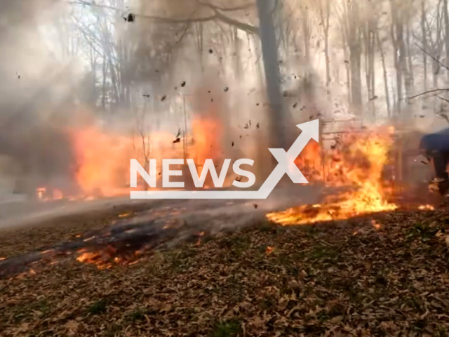 Firefighters put out a double-wide and adjacent structures on fire in Bedford, Virginia, USA, on Friday, March 15, 2024.
Note: Picture is screenshot from a video. (Bedford Fire Department/Clipzilla)