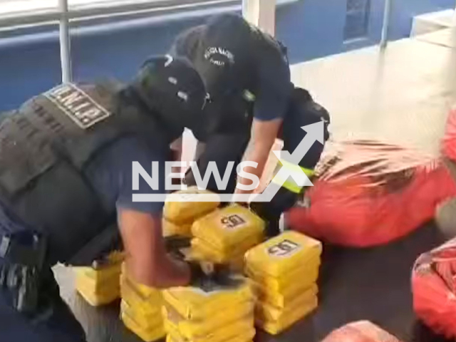 Police seize 600 packages with suspected drugs in a local port with Operacion Rastreo, in Panama.
Note: Picture is screenshot from a video. (Policia Nacional de Panama/Clipzilla)