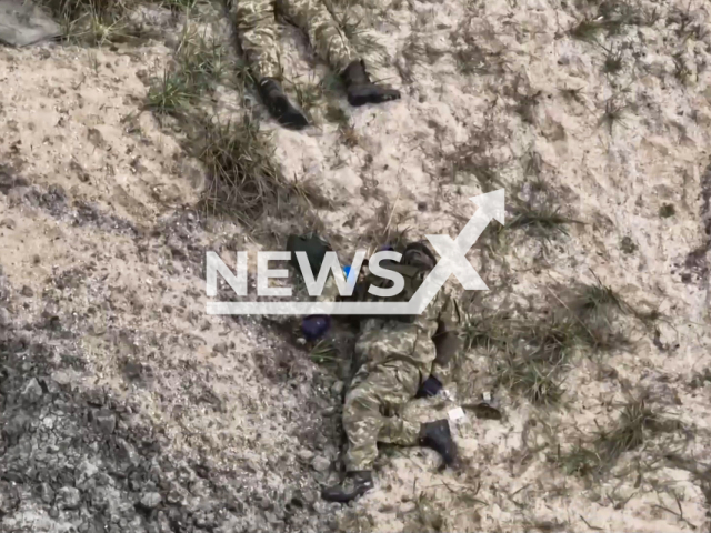 Destroyed fortified area of ​​militants of Ukrainian nationalist formations and the Armed Forces of Ukraine. Note: Picture is a screenshot from a video (Ministry of Defense of Russia/Newsflash)