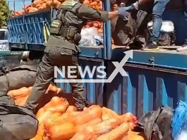 Police finds 860 kilos of cocaine hidden among a load of pumpkins in Salta, Argentina. There are three detainees.Note: Picture is screenshot from a video. (@gendarmerianacional/Newsflash)