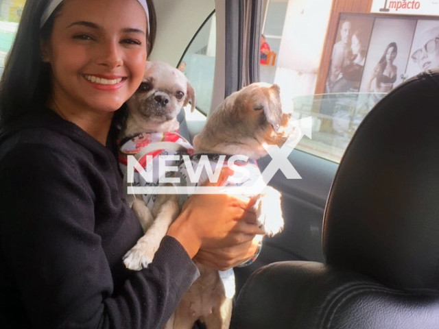 Holiene Valeska Mariano Marques, 22, poses with dogs in undated photo. She died after being run over by a truck while running away from dogs in Barra Velha, Brazil. Note: Private photo taken from social media. (Newsflash)