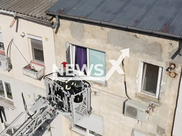 Firefighters rescue trapped cat on fourth floor window in Tulcea, Romania, undated. The animal was spotted by a neighbor. Note: Picture is a screenshot taken from a video. (@isudeltatulcea/Newsflash)